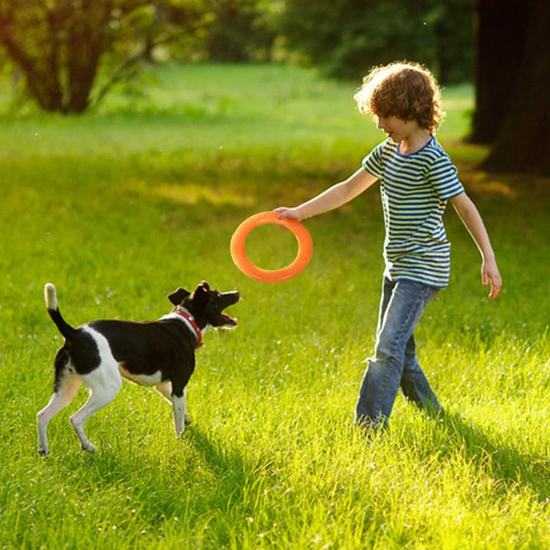 Interactive Training Ring