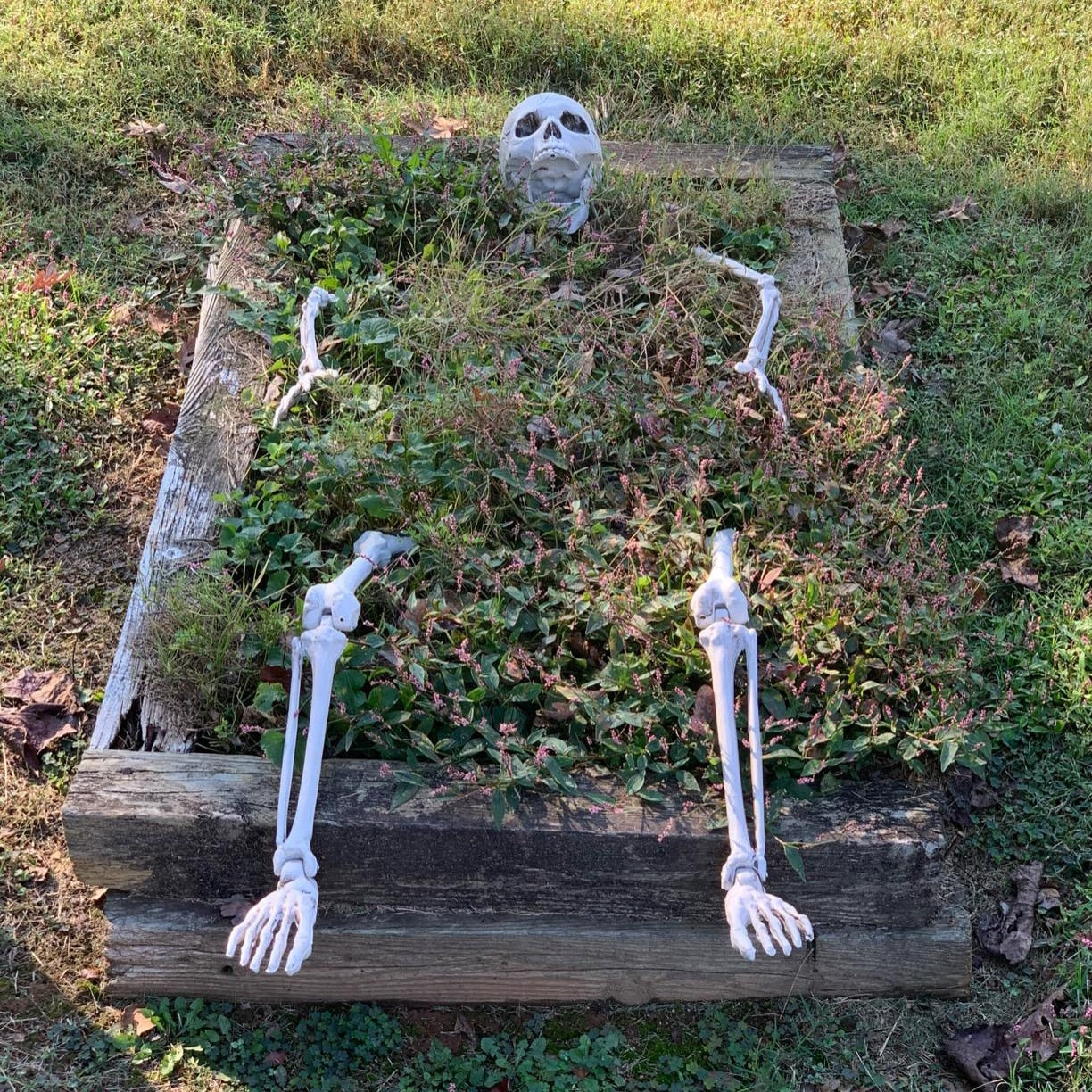 Graveyard Whispers: Realistic Skeleton Stakes for Haunting Decor!